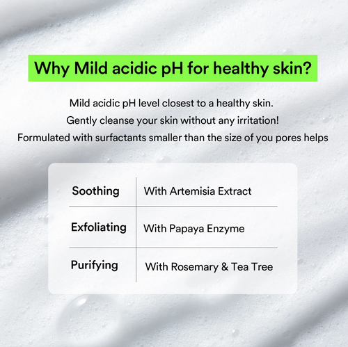 Abib Heartleaf Acne Cleansing Foam